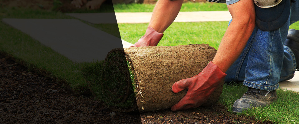 Spring City Landscapers